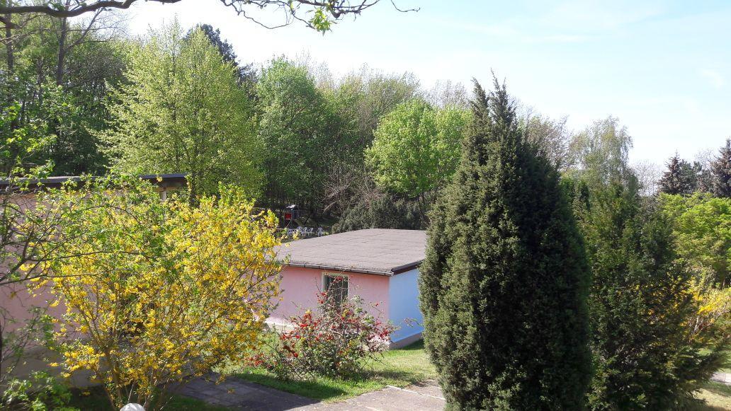 Bungalows Zur Alten Faehre Вердер Екстериор снимка
