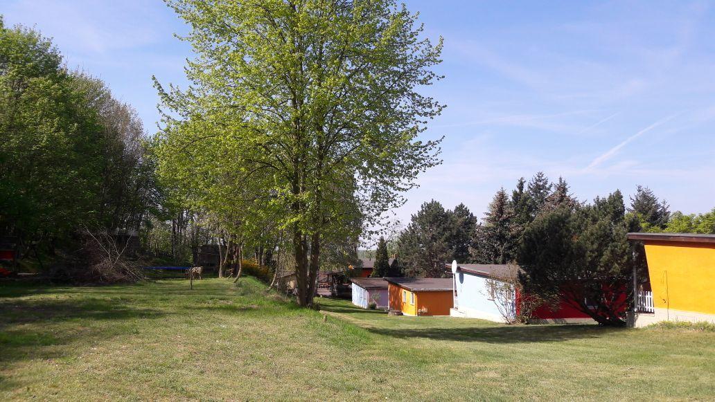 Bungalows Zur Alten Faehre Вердер Екстериор снимка