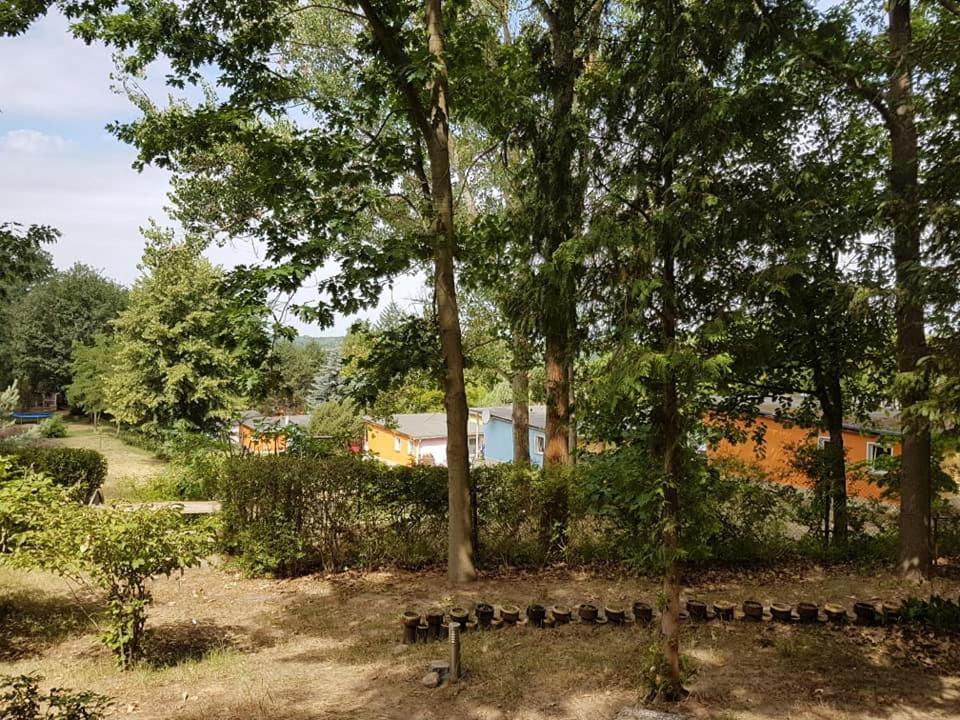 Bungalows Zur Alten Faehre Вердер Екстериор снимка